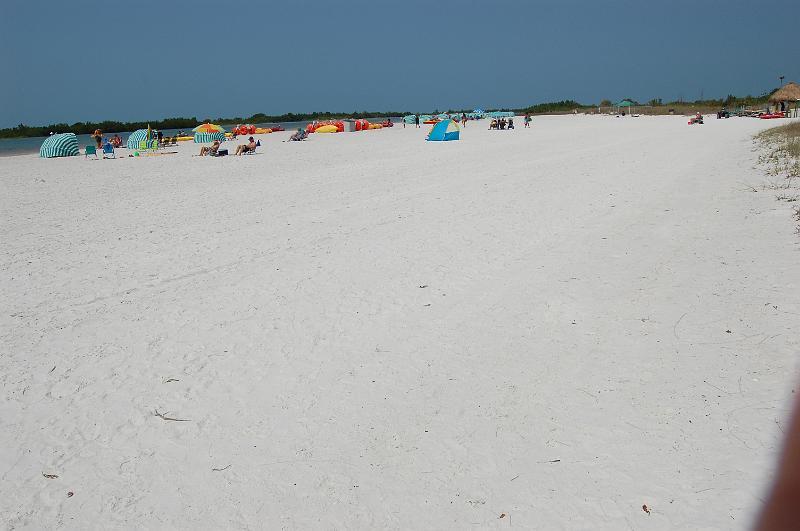 496. marco island.JPG